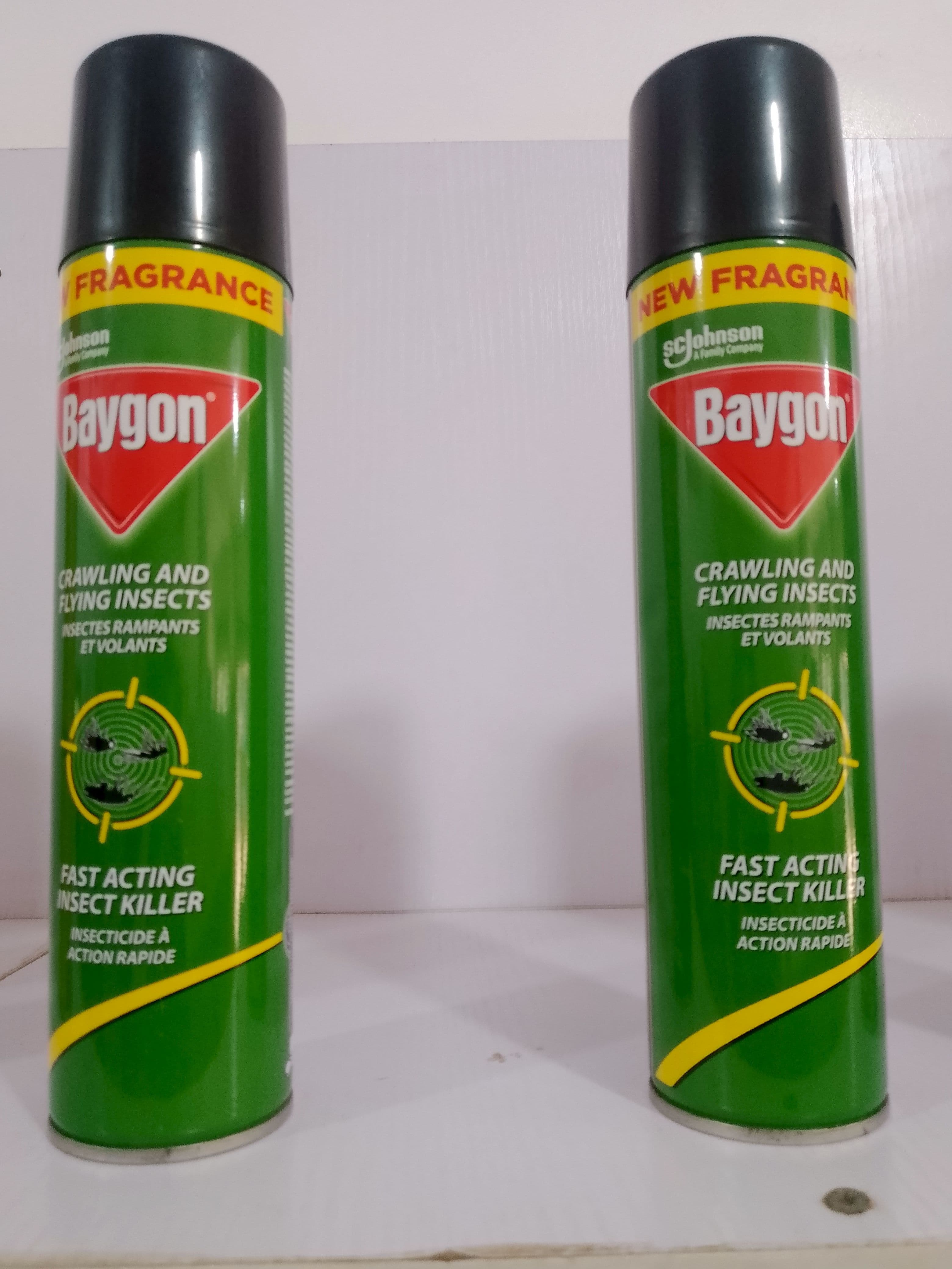 A photo of BAYGON INSECTICIDE 300ML